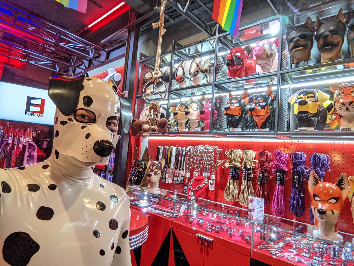 Welcome to <a href="/forfunbangkok/">FORFUN</a> store 🤗🐶
🛒 forfun.store

#forfunbangkok #PetsuitOriginal