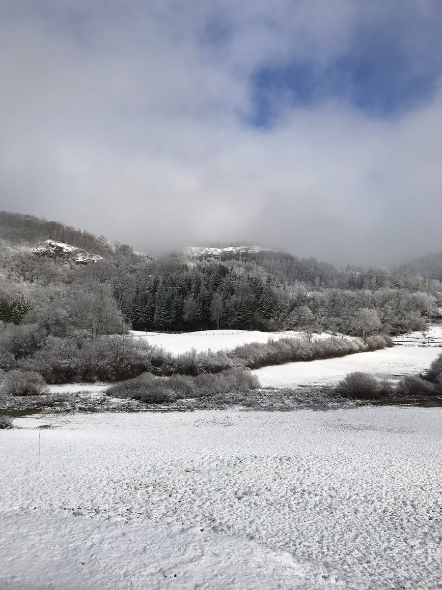 fdsCroz's tweet photo. ℹ️ Elle est arrivée ❄️ comme prévu, en petite quantité, on attend la suite … https://t.co/pzM1v1EteM