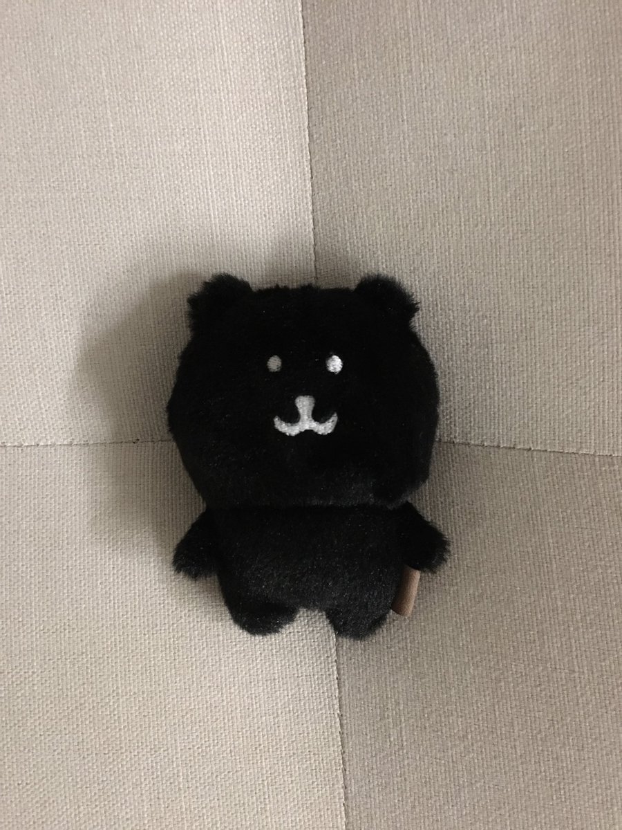 모든걸 삼켜버릴
블랙담곰