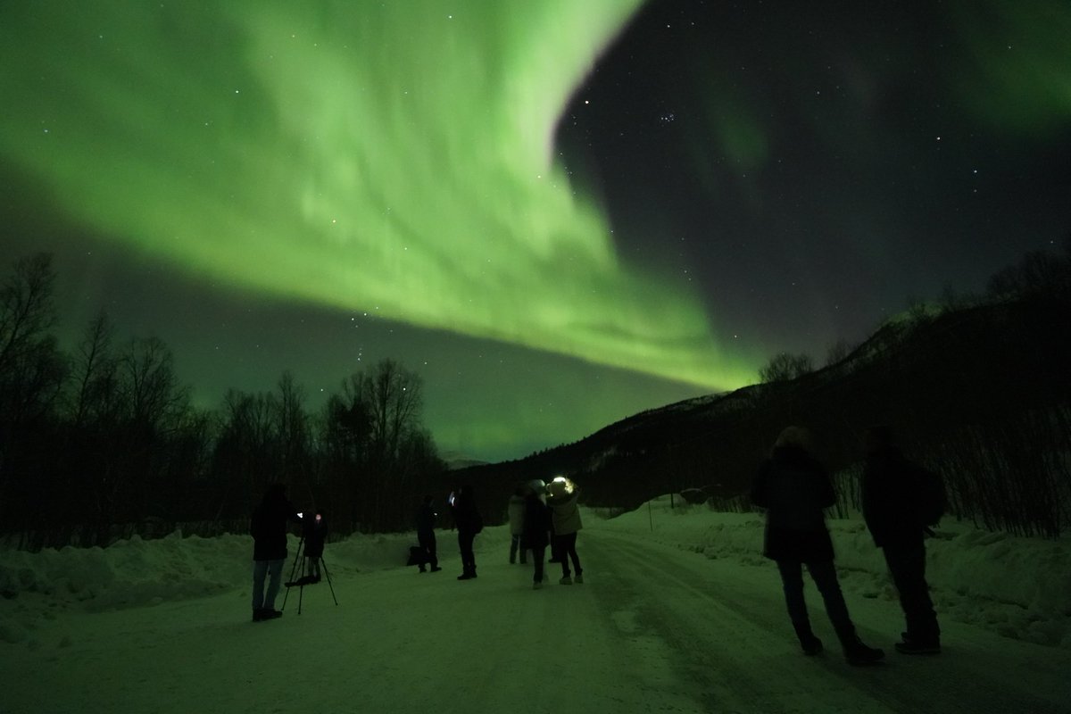 Estoy en un café y me da paja volver a salir con este frío así que haré hilo para los que quieran ver a la famosa #AuroraBoreal. Es MI opinión en base a MI investigación y MI experiencia, no se lo tomen como la posta de nada.