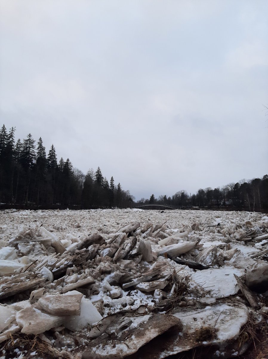 💧❄️Nedēļas sākums būs silts un nokrišņiem bagāts, nedēļas otrajā pusē kļūs aukstāks

ℹ️Plašāk: videscentrs.lvgmc.lv/jaunumi/198027…