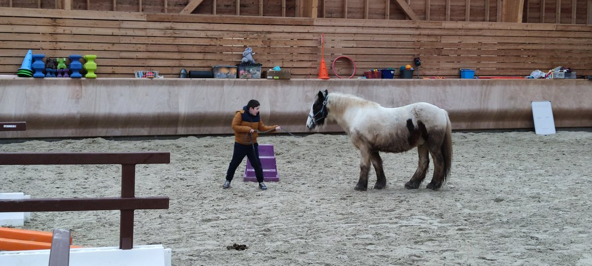 Asperger-Accueil Autistes Sans Frontières tweet media