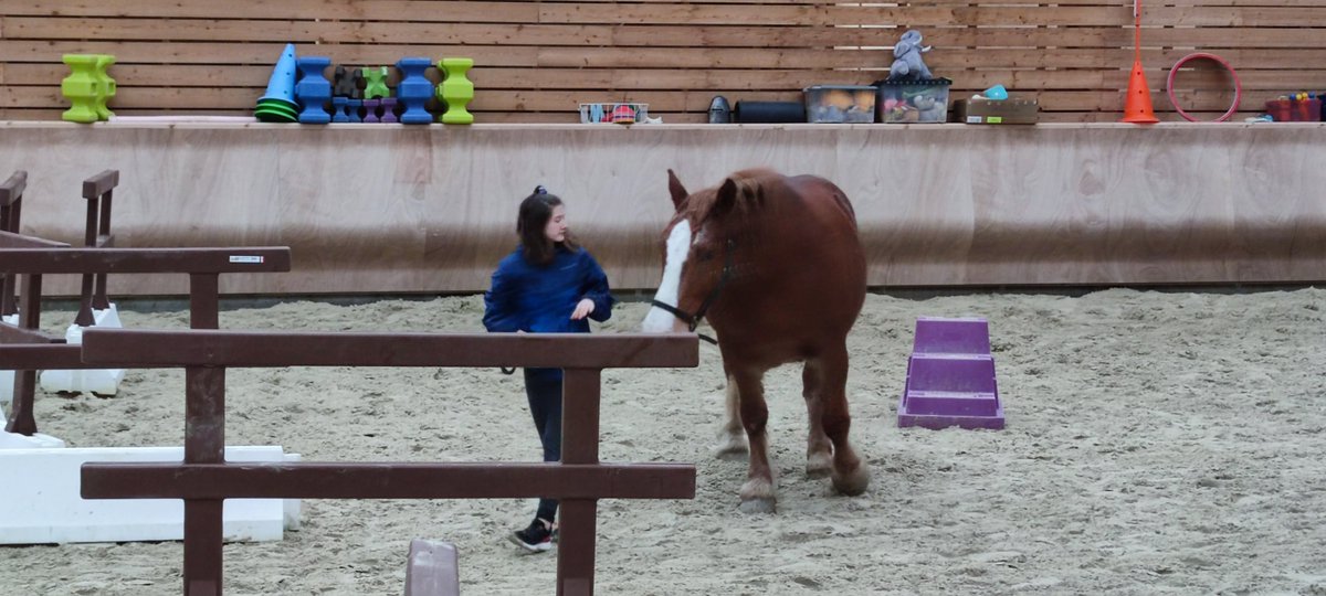 Asperger-Accueil Autistes Sans Frontières tweet media