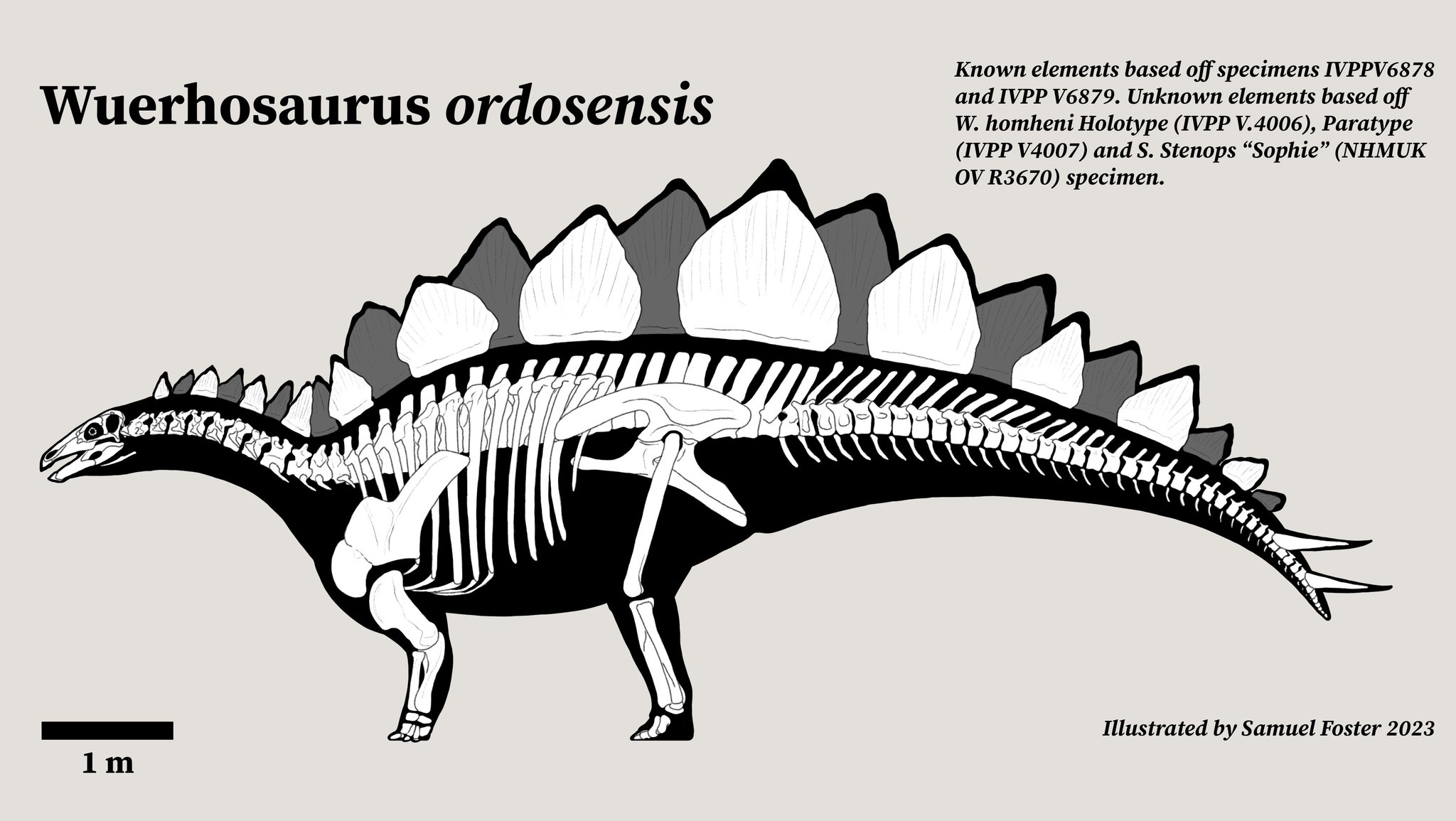 OZROSAURUS / OZBUM ~A•UN~ Amazon.co.jp: OZBUM 〜A:UN〜 (オジバム アウン): ミュージック