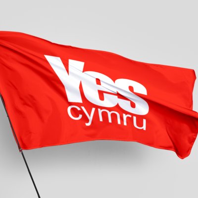 That's my YES Cymru membership sorted!!
🏴󠁧󠁢󠁷󠁬󠁳󠁿✊️
