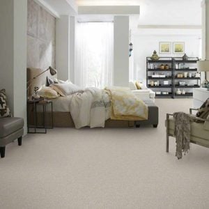 hlsfam5's tweet photo. Do any of these cat-friendly carpeting types appeal to you? #homeimprovement #interiors  https://t.co/7jIgS8t1QM https://t.co/ZceljqXSuf