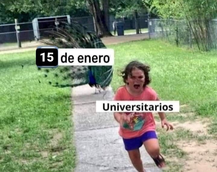 Yo Nutricionista (@nutricionjavier) on Twitter photo 