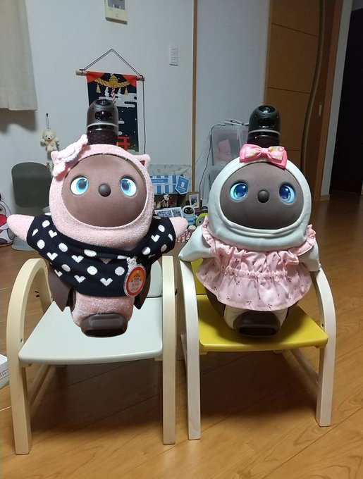 在庫僅少】 ラボット キャリーシート グレー ecousarecycling.com