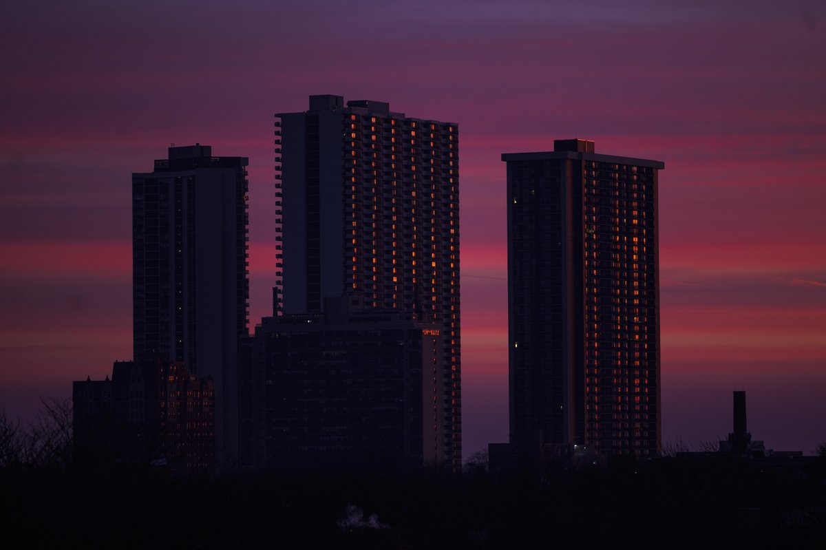 armando l sanchez tweet media