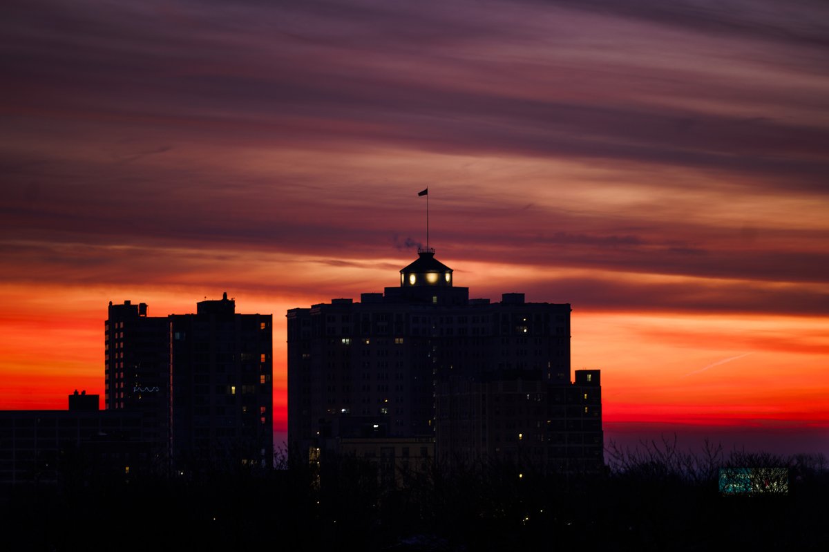 armando l sanchez tweet media