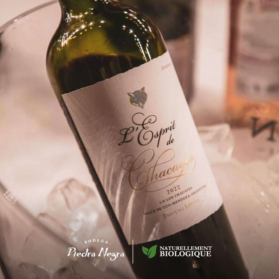 Los vinos que nacen a los pies de cordillera, en suelos aluviales, drenantes y poco fértiles, se destacan por combinar frescor y concentración. Estas características que aporta el terroir se ven reflejadas en nuestras botellas.

#PiedraNegra #Vino #Mendoza #Bodega #Lurton