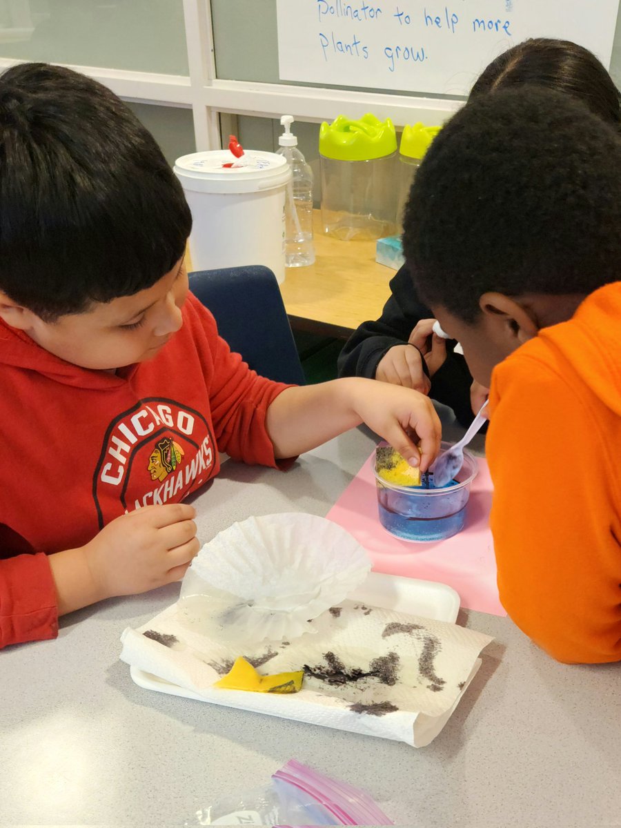 As we  near the end of our unit about ecosystems and oil spills, 4th and 5th graders collaborate to remove oil from water, no easy task. #QuinnSTEAMing #teamworkmakesthedreamwork <a href="/michelle_shaba/">Michelle Shabaker</a> <a href="/wajprincipal/">Carlos A. Patiño</a>