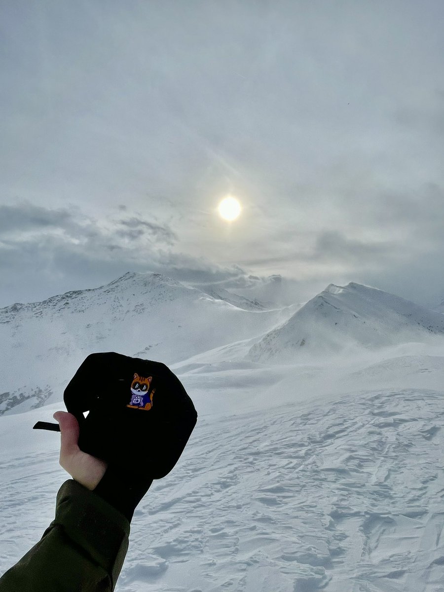 0xsseb's tweet photo. Zeek the @zksync Devcat having none of this crypto winter https://t.co/IHOcO9yKoJ