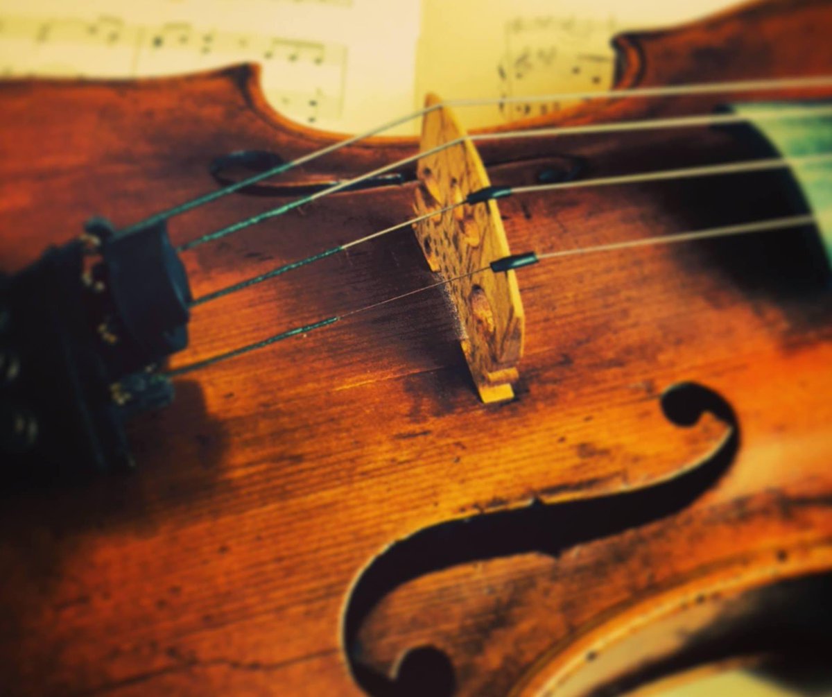 BudeOrchestra's tweet photo. Are you (or do you know) a violinist who would be available to play in our concert in Bude on 4th March 2023 please? Email budeorchestra@gmail.com for more info 🎻 https://t.co/mHru85iMsY