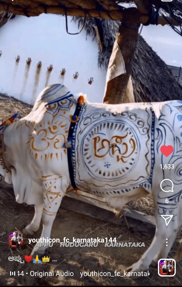 chandra23494318's tweet photo. Here it's Our Team New Logo Arrived Now..👑🔥🔥🔥
@YCompanyOffical
#YuvaRajkumar #Yuva01 #Ghost
#NewLookForYouthIcoNFc
#YouthIcoNFcKarnataka #DrPuneethRajkumar #AppuBoss
#BossOfEntireWorld https://t.co/LqHgrX0TcO