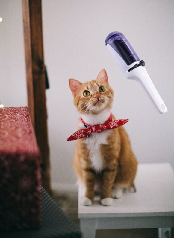 VolcanicMotion's tweet photo. WOW WOW WOW!! Your life saver is here. Do not hesitate anymore, visit the below link.

#PetHairRemover #lintremover #selfcleaning #cathairremover #petcare

https://t.co/ufAq0EtgEo https://t.co/adqRHtxzsU