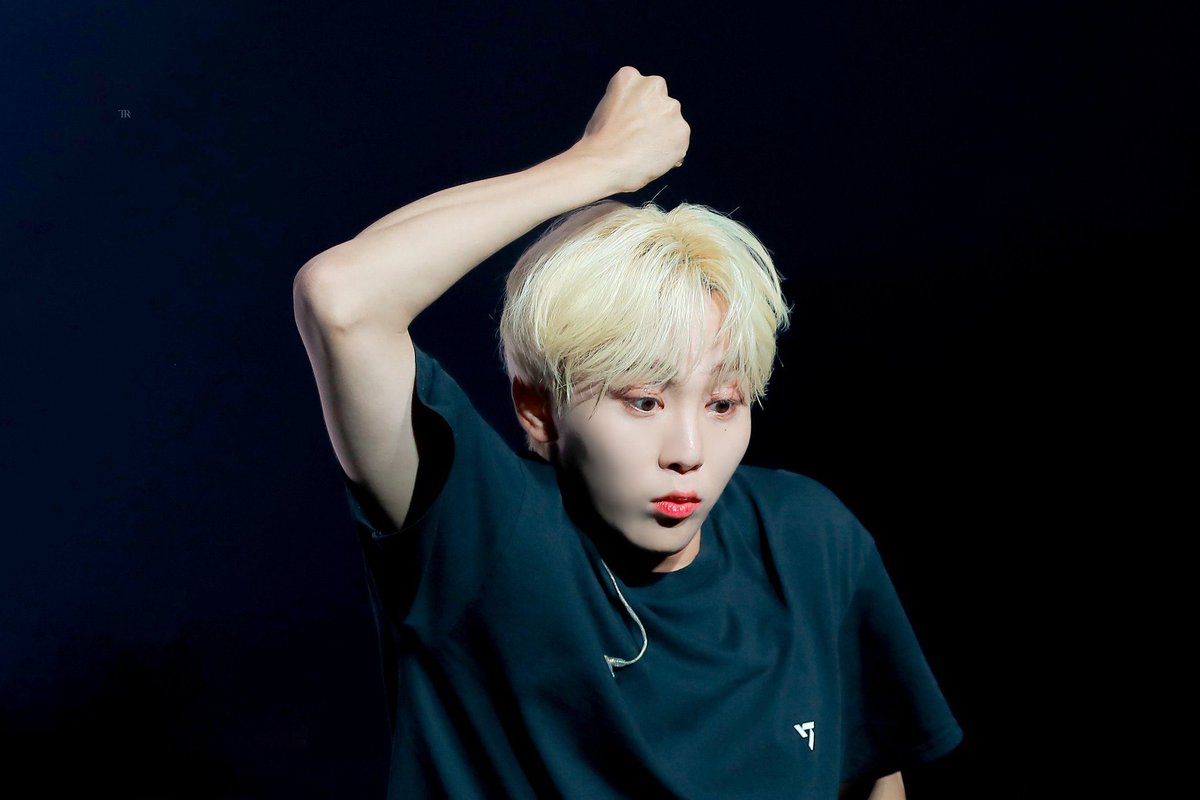 아직 나무에서 따기 전인 귤같다