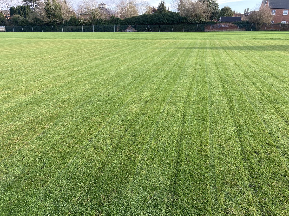 Jamie Foyster tweet media