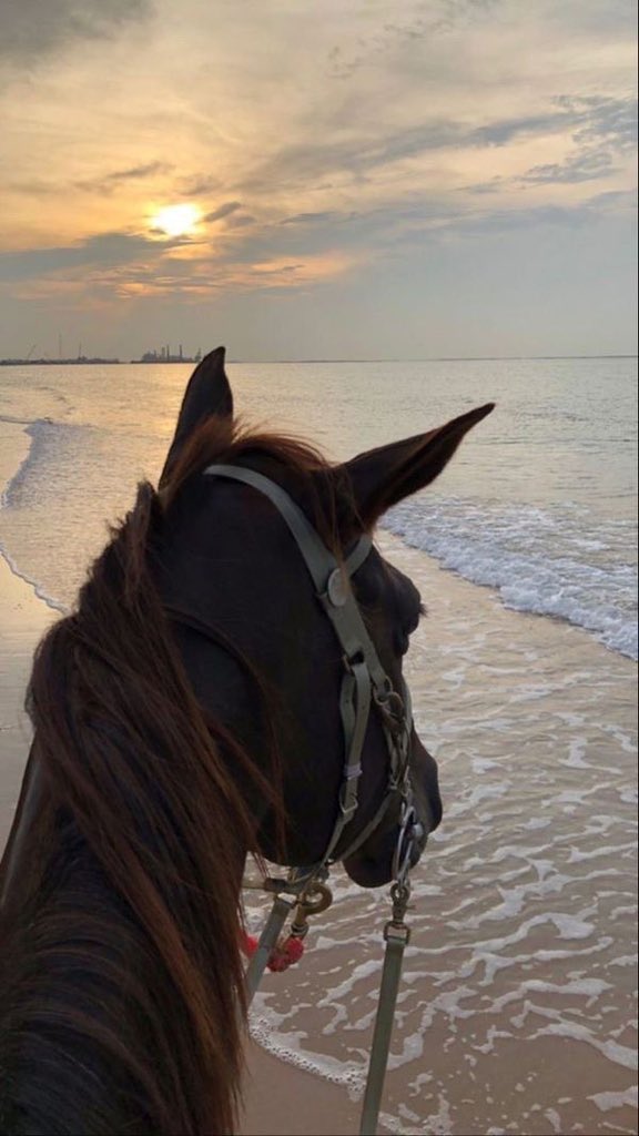 All the beauty, the horses, the sea and the clouds