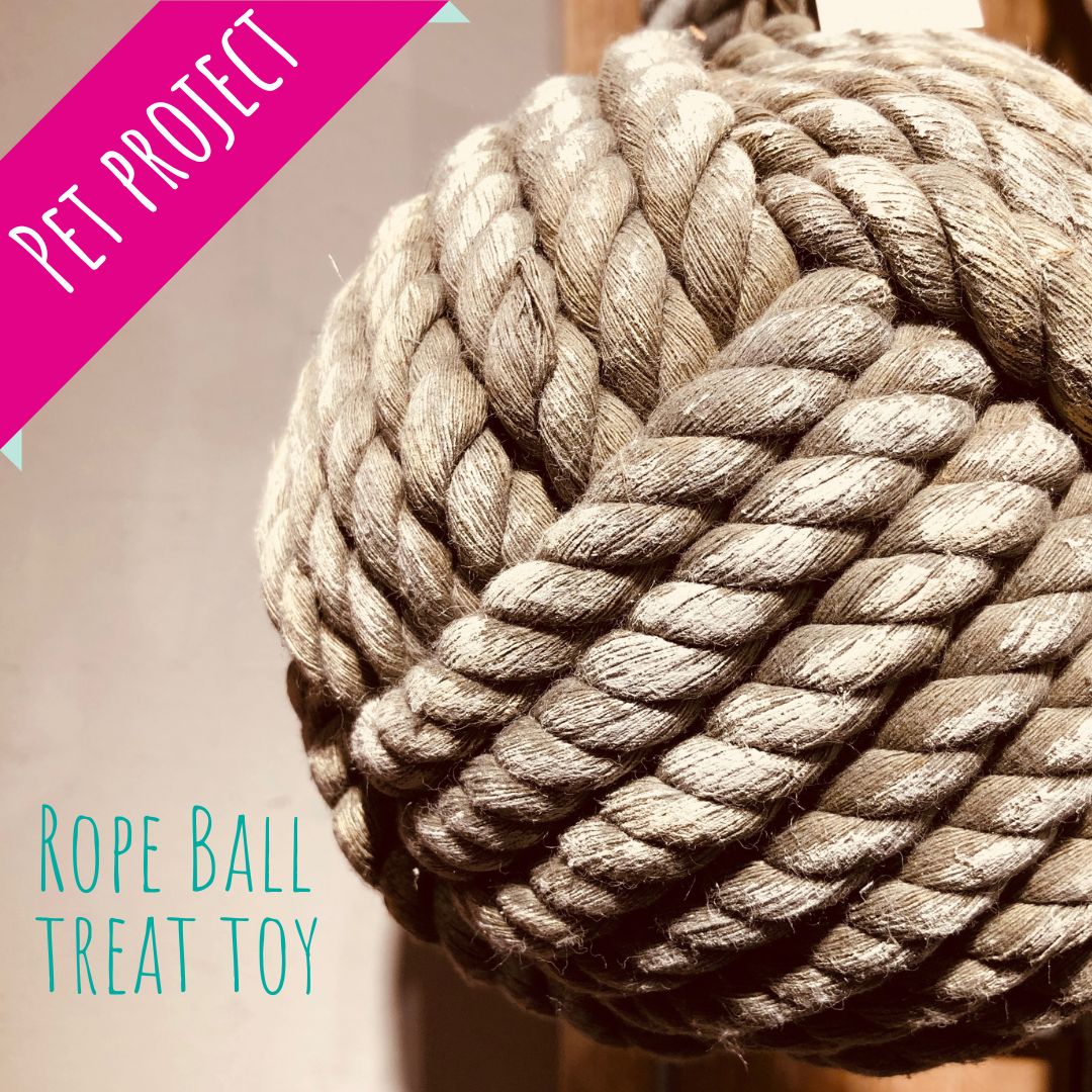 ThePawSpaOmaha's tweet image. Try this with your #pup! Tie a rope into a ball, put a treat inside of it and let them try to solve the puzzle. You know they won’t stop until they get that treat! #petproject