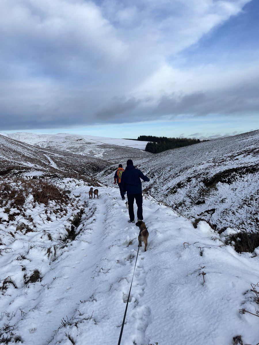 Some more snowy miles in the bag for #DoddieAid #teamedinburgh