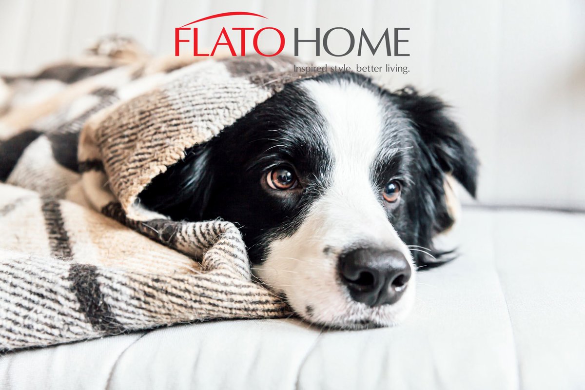 FlatoDev's tweet photo. Visit the @flatohomeprods online store for exceptional savings and offers on quality home and houseware items that every family member will enjoy! Free delivery for orders over $49
▪️ https://t.co/TRG0wFHOH2
#homedecor #homedecorstore #interiorstyling #homestyle https://t.co/MiKu0PBG7g