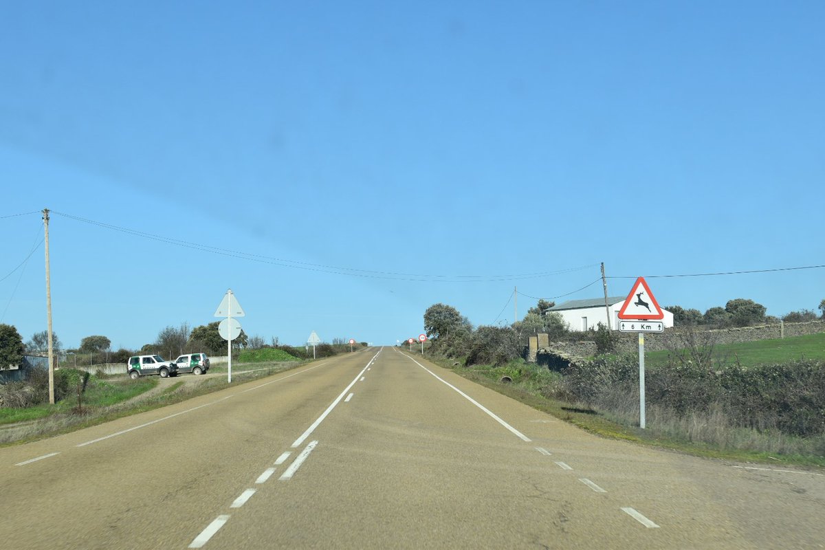 darioalvarez's tweet photo. Road photos 3
Adiós a 2022 en las carreteras de Salamanca

#desdeelcoche #instantaneas 

#nikon #snapbridge https://t.co/aJc7UEUl0t