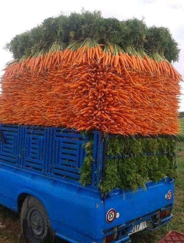 Renata91953545's tweet image. #zachwyciłoDziśwInternetach
#marchew