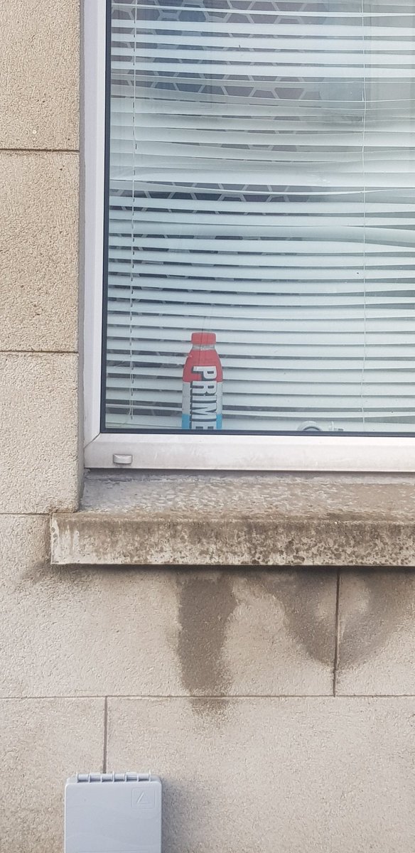 OrryRobinson's tweet photo. Spotted in the wild. With the way people have been behaving, I certainly wouldn't have this prominently displayed in my window! https://t.co/AbncRwoRFU