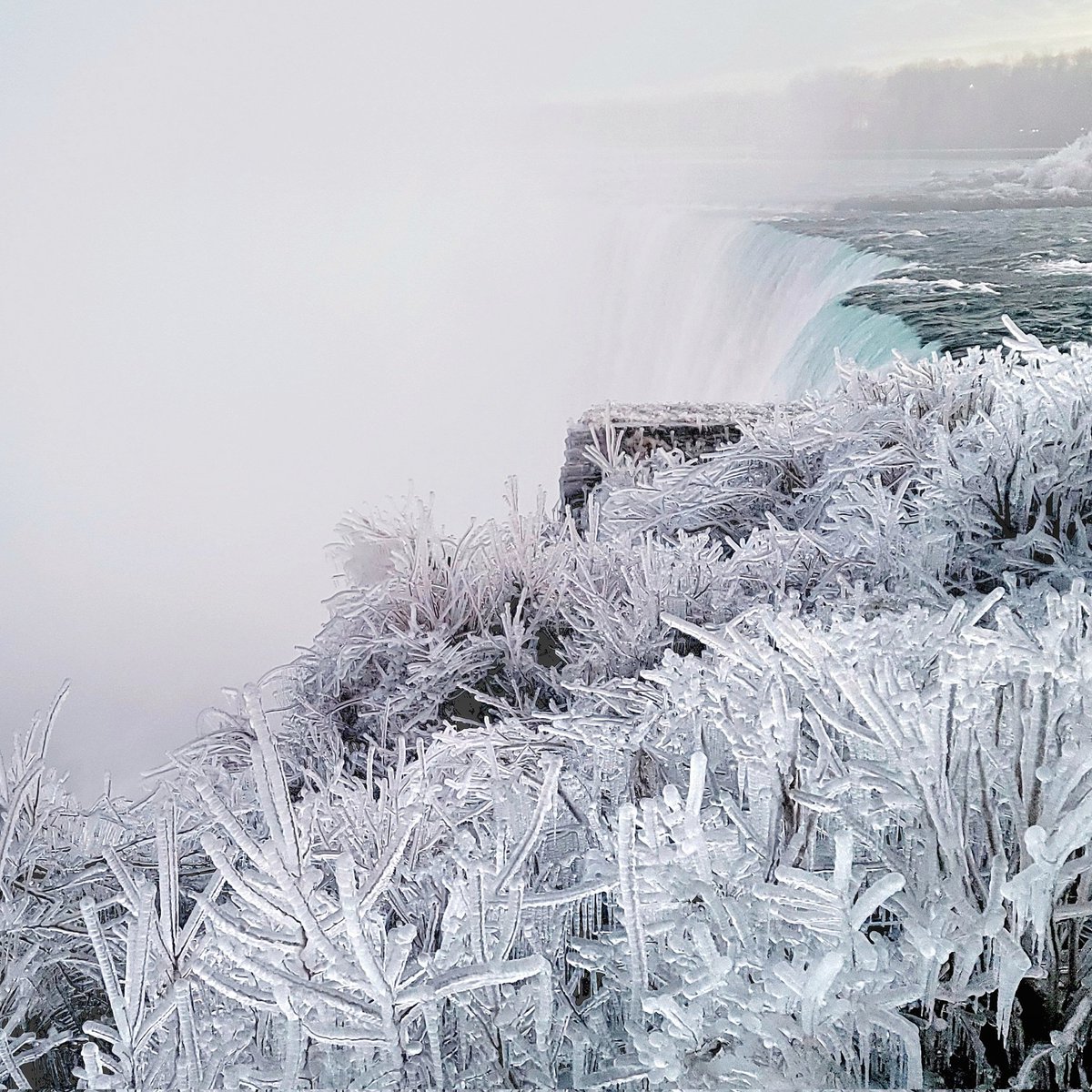 Kat_in_niagara's tweet photo. Icy waterfall 🧊🤍🧊 #niagarafalls #stormhour #shareyourweather #waterfall #landscapes #nature @ThePhotoHour #WinterVibes https://t.co/4s75nLBx6Y