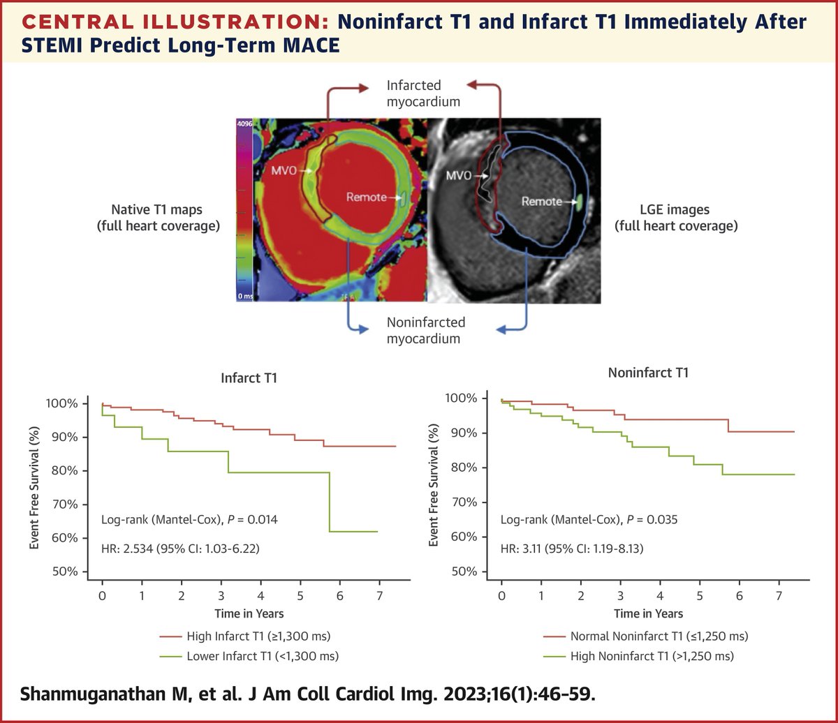 JACCJournals's tweet photo. Predicting future events in noninfarcted myocardium by #WhyCMR? Acute responses post-#STEMI in both noninfarct T1/infarct T1 are independent & incremental predictors of long-term outcomes & improved risk prediction beyond #LVEF, infarct size & MVO https://t.co/ejbrjqOOpK #JACCIMG https://t.co/ynBunvvUtb