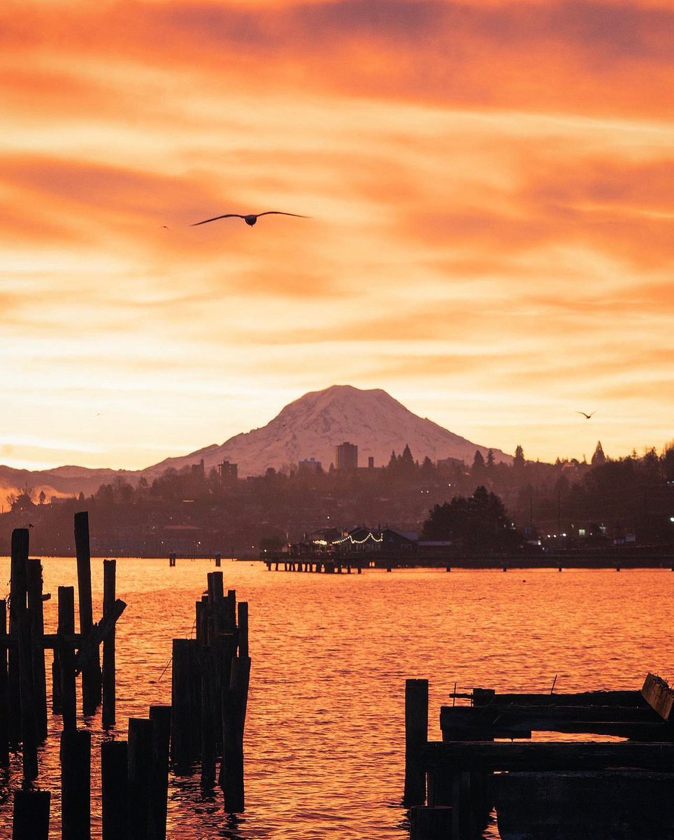 visitpierce's tweet photo. Mountain, City, Sea. Itโs all right here โจ
๐ธ @ almaperez.jpeg (Instagram)
#traveltacoma #mountaincitysea #sundayvibes #tacomawaterfront #rustonway #rustonwaywaterfront #wholemood #grandrising #gratitude #viewsfordays #traveldiaries https://t.co/0ejHKahJ71