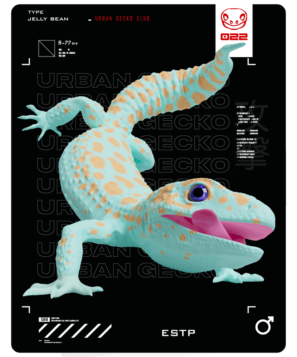 UrbanGeckosClub's tweet photo. Sunday Gecko fam🦎
#EthereumNFT #NFTCommunity #NFTs #NFT #giveaways #NFTdrop #web3 #nftart #NFTcollections https://t.co/Zqus2Cn117