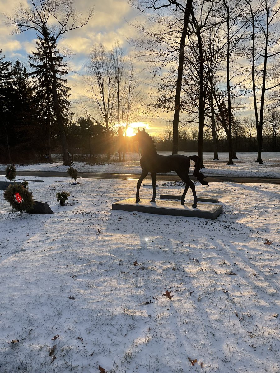 KatieStrine's tweet photo. Good morning from the frozen cemetery animals #cleplus https://t.co/co0fMiXe9I