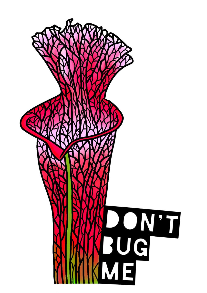 Completed another digital artwork 👌 can't wait to walk around wearing this lol 😆