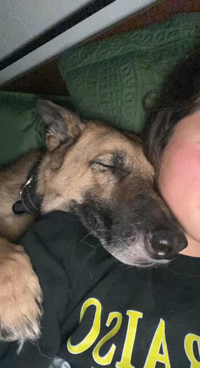 reddanielleow's tweet image. Easily the cutest thing I’ve ever woken up to.