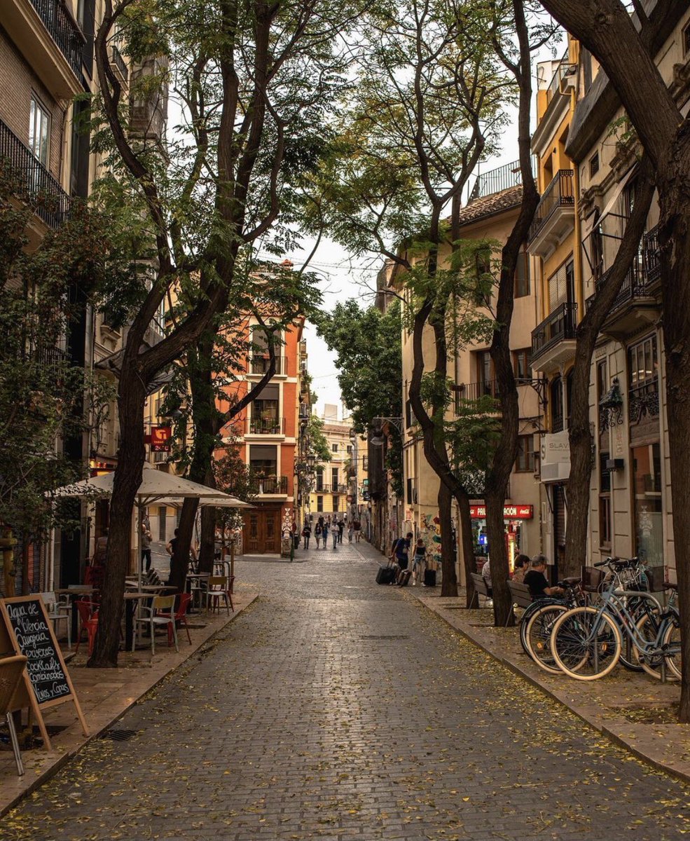 A near perfect street in Valencia.

Tree lined, narrow street with buildings right up to the property line in a variety of styles, but all at a human scale, and some with commercial uses on the ground floors.

This is a street for people!
