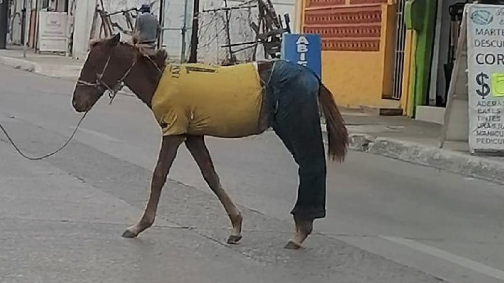 rochingon14's tweet photo. “Oye pero no te vayas a arreglar tan temprano para la cena”
Yo a las 11am: https://t.co/oUKji3AKbq