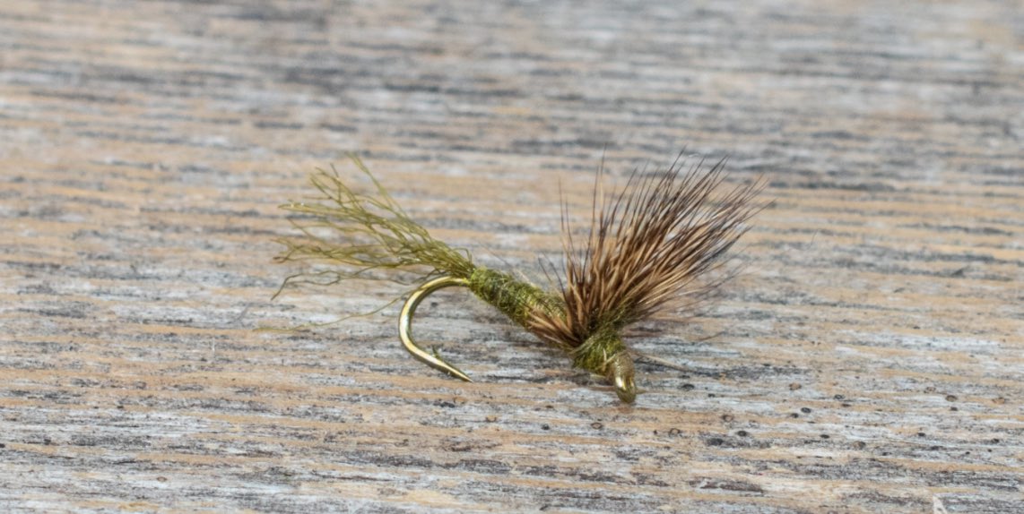 TroutSensei's tweet image. Sparkle Dun - Designed in West Yellowstone, Montana in the 80s and has been catching fish all over the world since.

Sits low in the surface film to imitate emerging mayflies found all over the world. Great for gin clear water and selective trout sipping flies off the surface.