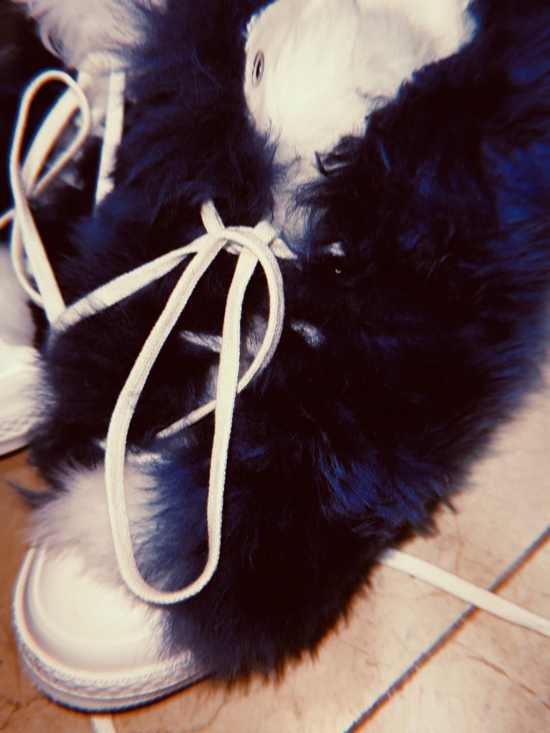 Fmhq8jbaAAIUh9R?format=jpg&name=large