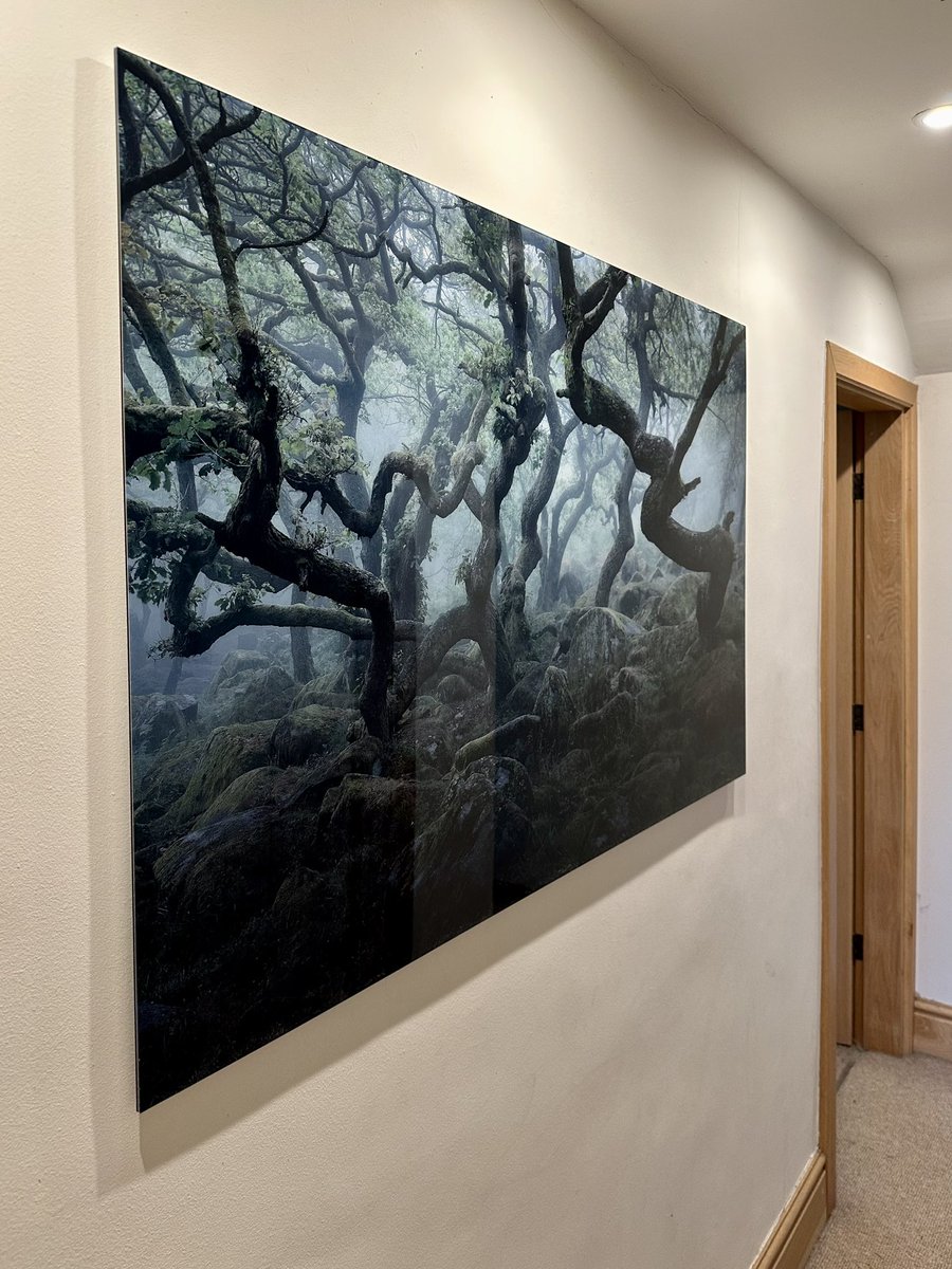 Nigel Danson tweet media