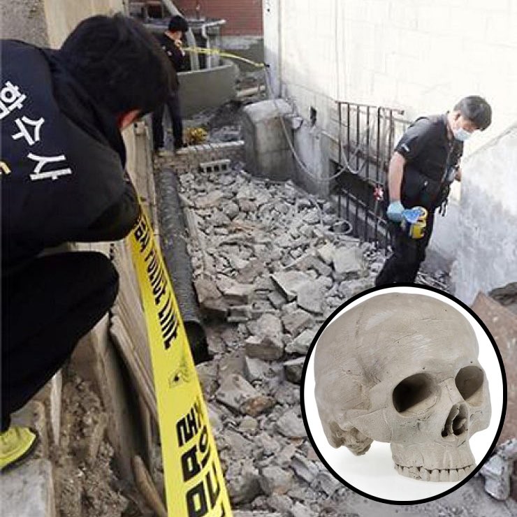 lolitascak3's tweet image. โหข่าวคดีนี้ของเกาหลีคือน่ากลัวมาก จะเกิดอะไรขึ้นถ้ามีกระดูกศพปริศนาฝังอยู่ในกำแพงบ้านเรา? ผู้ชายคนนึงทุบกำแพง แล้วดันเจอกะโหลกคนกลิ้งหล่นออกมา! กลายเป็นว่ามีโครงกระดูกศพถูกฝังโบกปูนไว้แต่ไม่มีใครรู้ ที่น่ากลัวยิ่งกว่านั้นคือชาวบ้านยังลือว่าบ้านนี้ทำพิธีฆ่าเพื่อบูชายัญ! (มีต่อ)