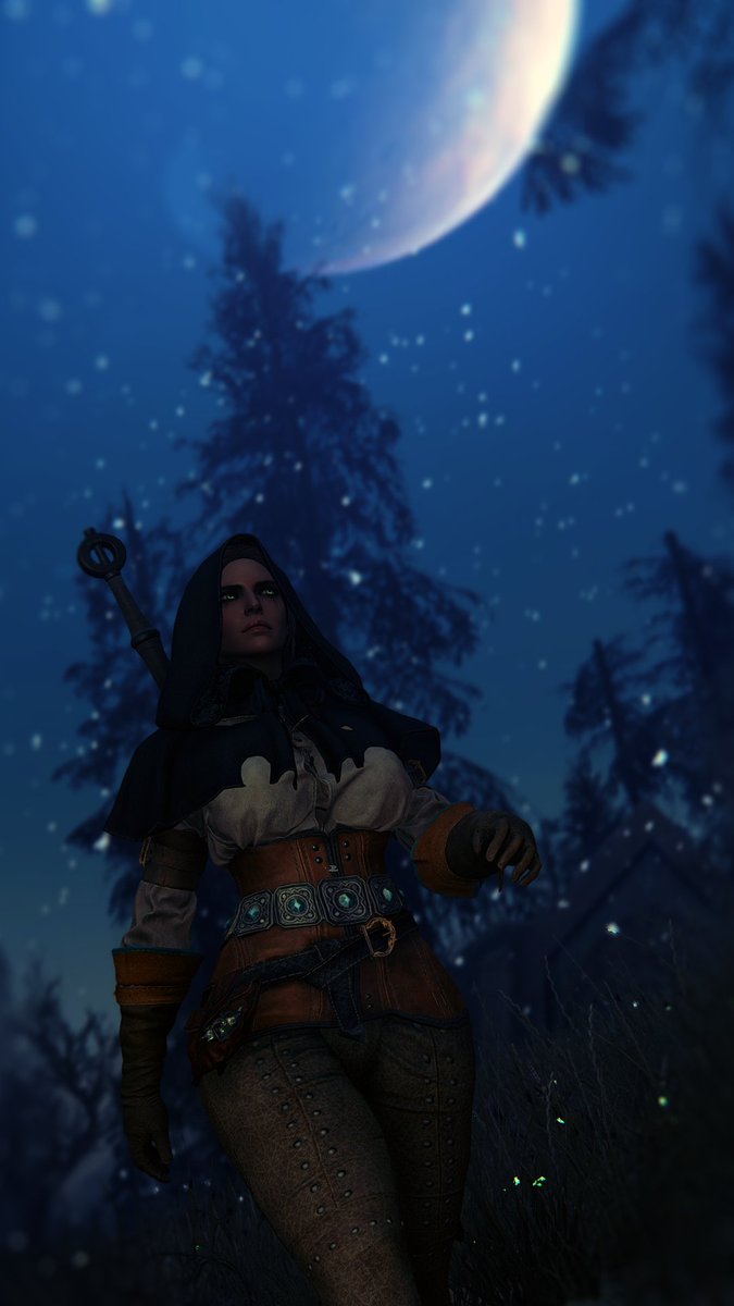 Seirne1's tweet photo. #SkyrimSE #Screenshots #Skyrim #TheWitcher 

The swampy woods of Morthal are a dangerous place, perfect for a Witcher to find work. https://t.co/thkgJQAcd0