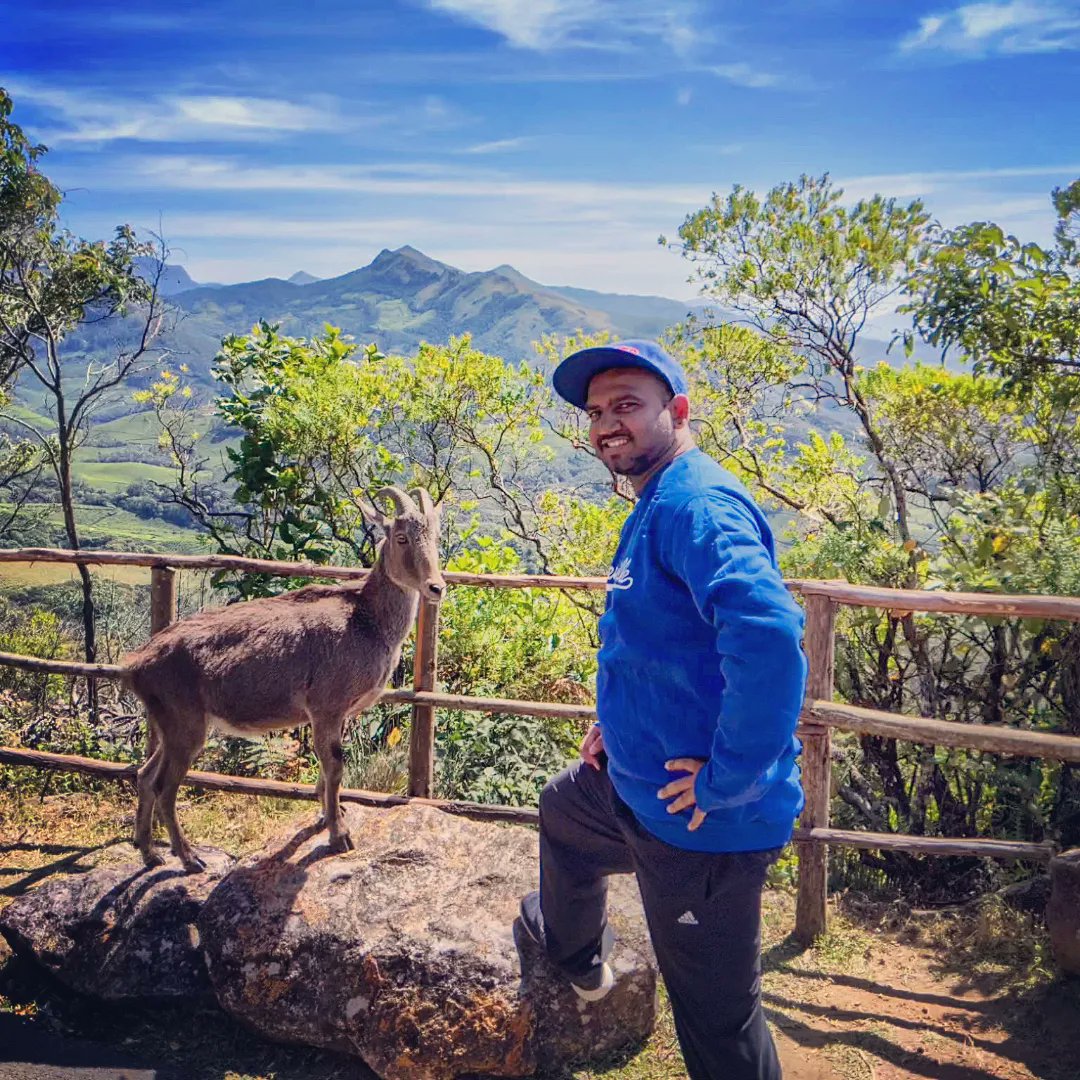 hiphopibex's tweet photo. Waddup Cuz!!!
Nilgiri Tahr × Ibex
.
.
.
#nilgiritahr🐐 #Ibex #hills #travel #nationalpark #eravikulamnationalpark #eravikulamnationalpark🐐🐐 #goat #kerala #keralatourism #mistymountains #naturelovers #naturephotography #Munnar #beautifulmunnar☁🌲 #munnarhillstation🏡 https://t.co/qfJYpKn5SE
