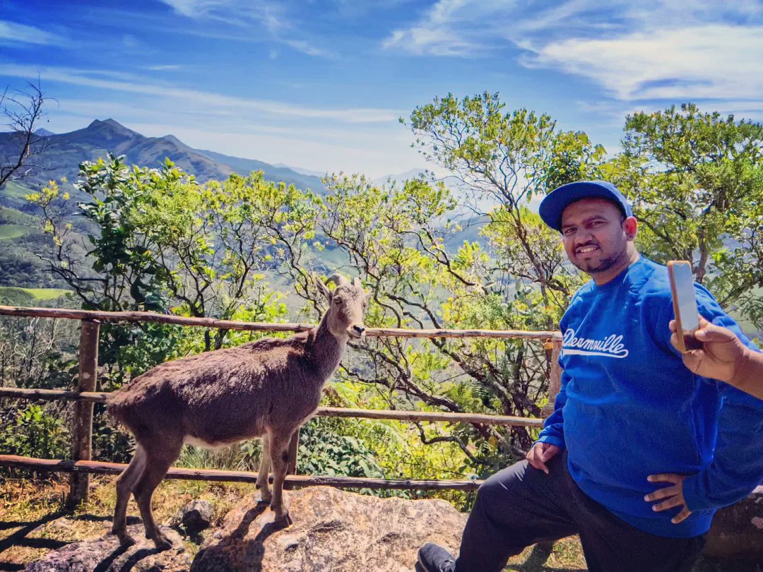 hiphopibex's tweet photo. Waddup Cuz!!!
Nilgiri Tahr × Ibex
.
.
.
#nilgiritahr🐐 #Ibex #hills #travel #nationalpark #eravikulamnationalpark #eravikulamnationalpark🐐🐐 #goat #kerala #keralatourism #mistymountains #naturelovers #naturephotography #Munnar #beautifulmunnar☁🌲 #munnarhillstation🏡 https://t.co/qfJYpKn5SE