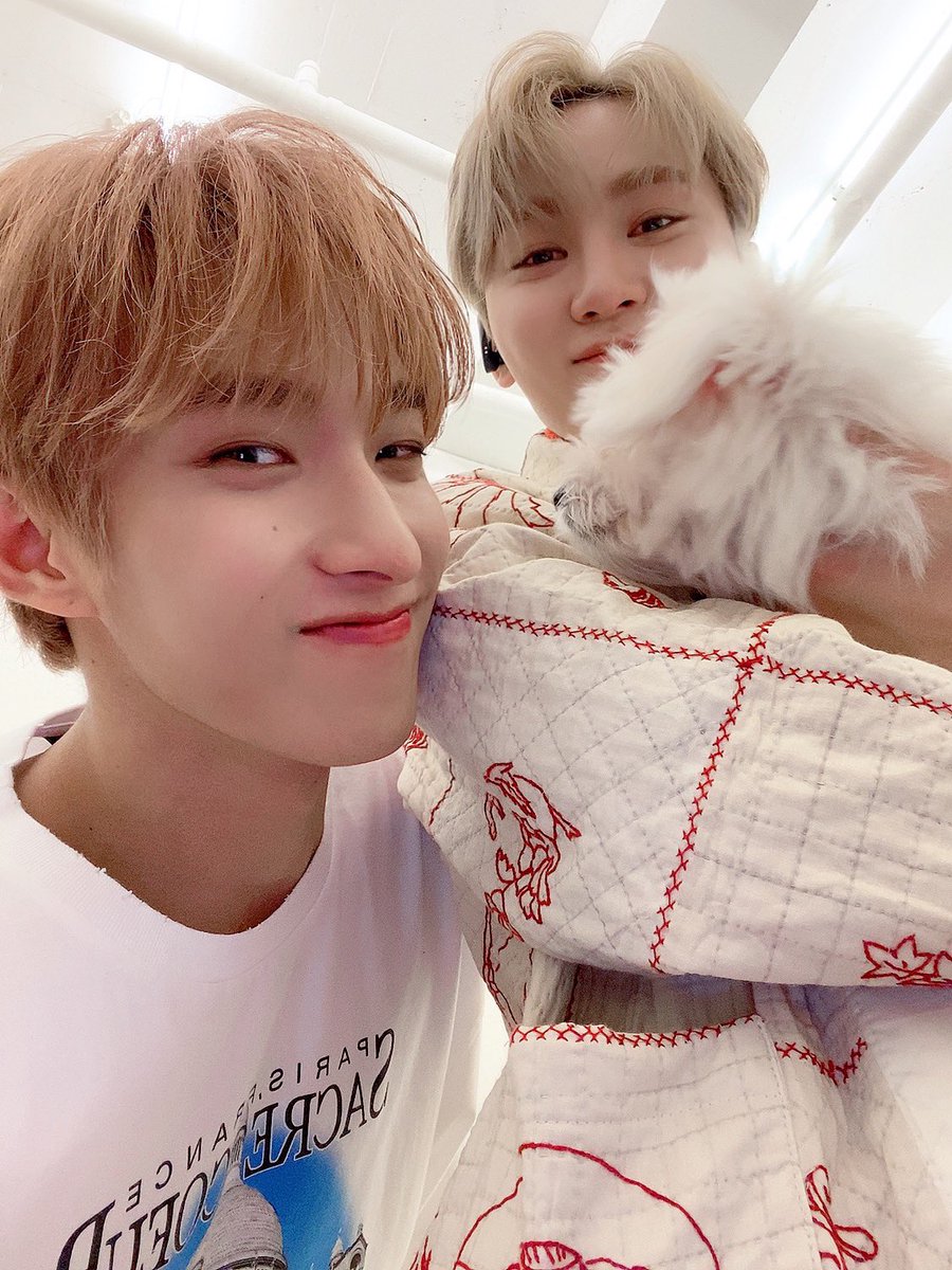 booseokzone's tweet photo. HAPPY SEUNGKWAN DAY! 
#경축_아기귤탄절_승관이날 #OUR_BOOtamin_day 
@pledis_17 https://t.co/uTUdZCj6PJ