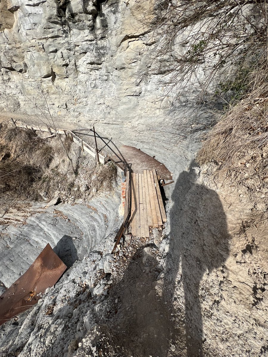 Meritxell tweet media