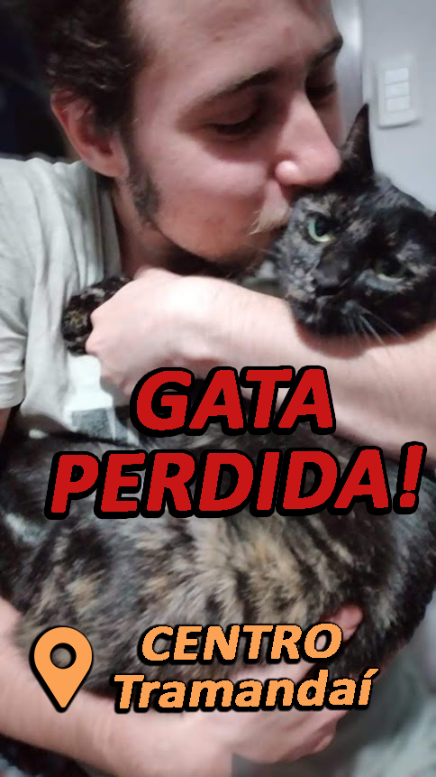 LegendofRanma's tweet photo. MEL 
Gata perdida aos arredores da Zona Nova de Tramandaí/RS
#gataperdida #tramandaí

Conhece alguém daqui de perto? Compartilha porfavor!! https://t.co/NfmfQqQBwp