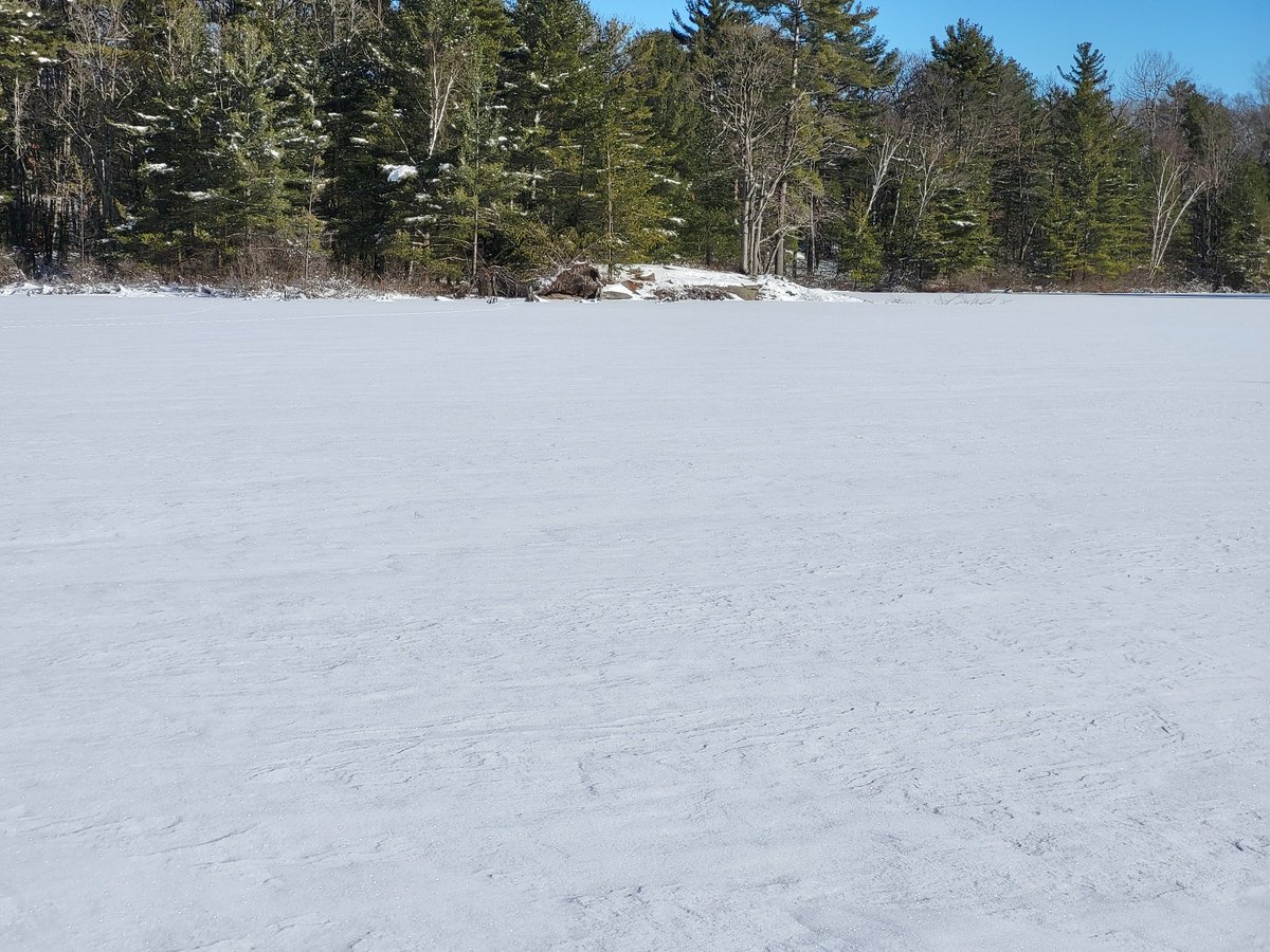 -13 and beautiful