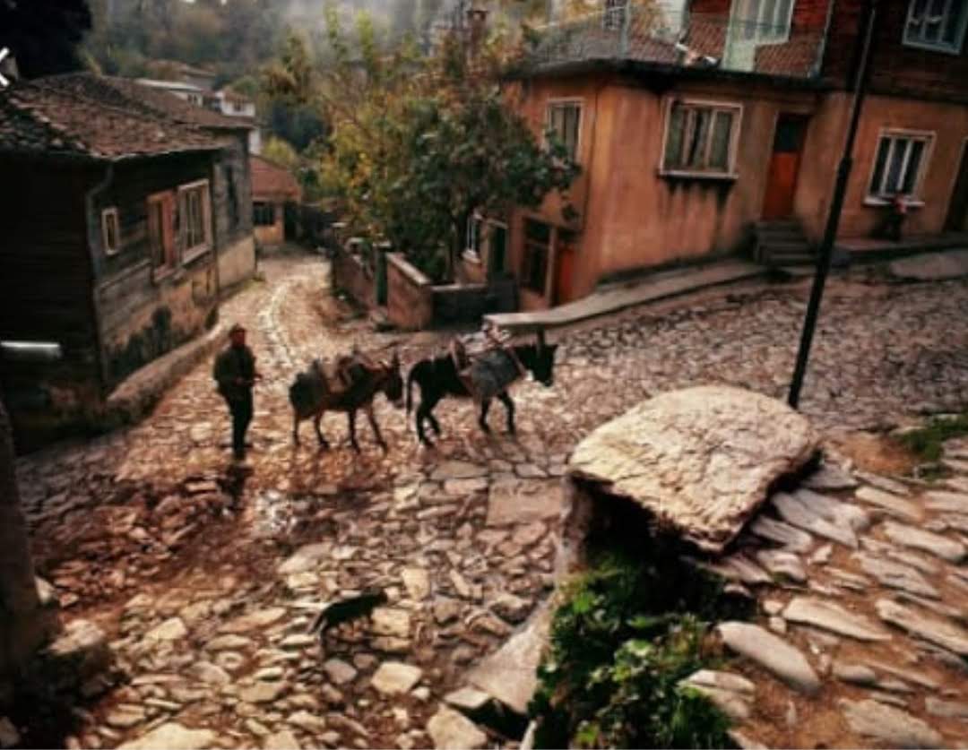 Rumelihisarı.. Ara Güler'in meşhur fotoğrafını çektiği o nokta.
#İstanbul #aragüler